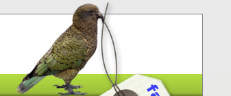 ebox - your fast, green, economical, new zealand based provider